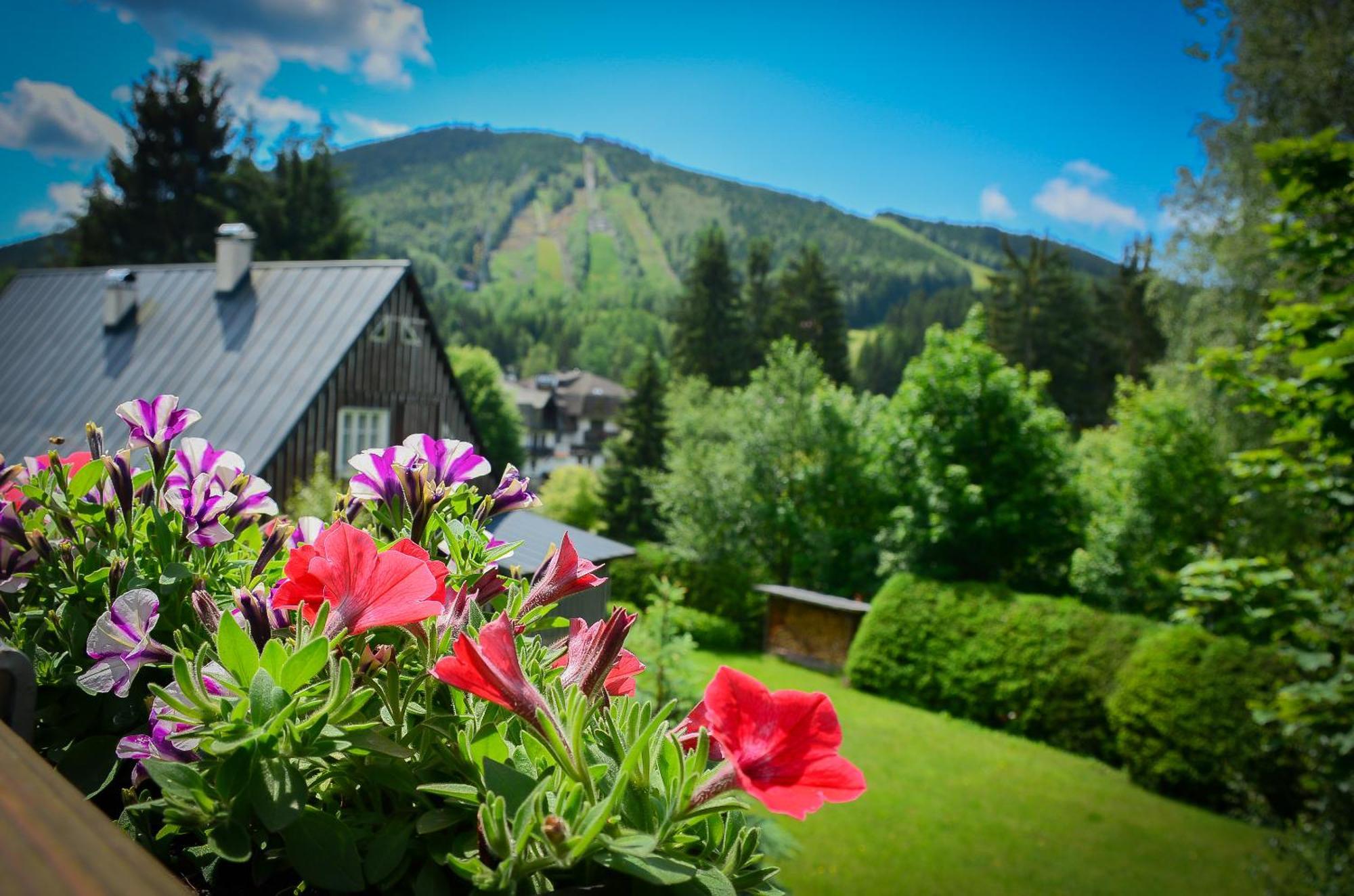Hotel Friuli Harrachov Εξωτερικό φωτογραφία